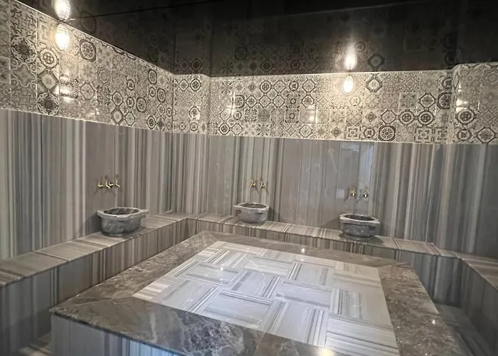 Art Life ألانيا